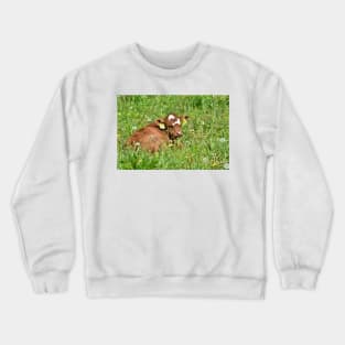 Love Cows - Calf Crewneck Sweatshirt